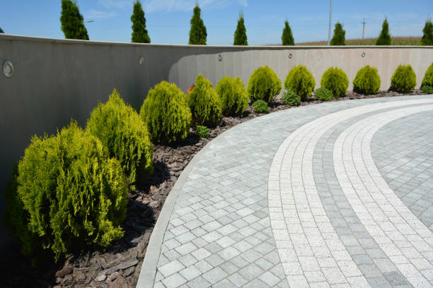 Reasons to Select Us for Your Driveway Paving Requirements in Corsicana, TX